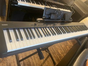 CDP-S110