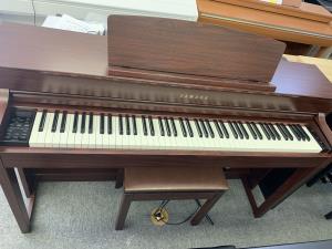 CLP-545Ｍ