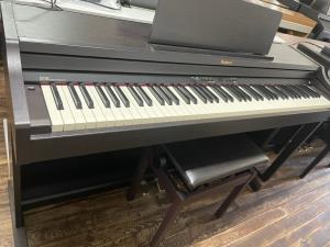 RP301
