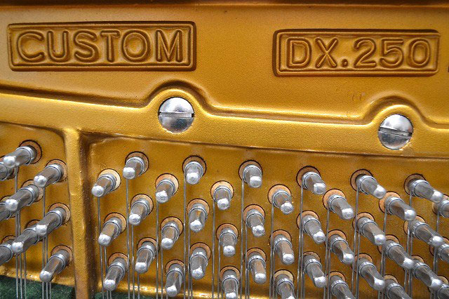 DX250
