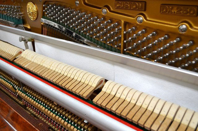 DX250