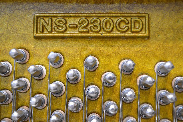 NS230CD