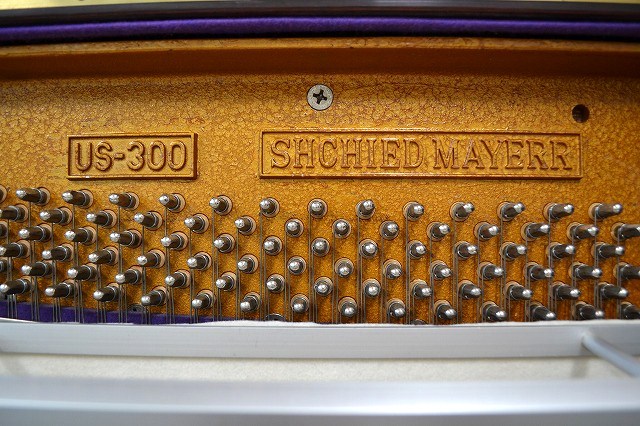 US300.3