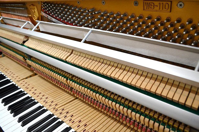 ＷＢ110
